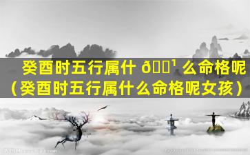 癸酉时五行属什 🌹 么命格呢（癸酉时五行属什么命格呢女孩）